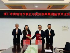 <strong>海口市供销合做社结合社</strong> 